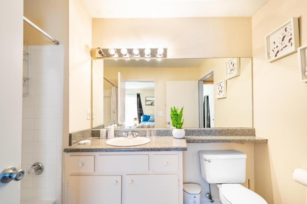 Apartment Glorious Home-1 Bedroom In The Heart Of Buckhead Atlanta