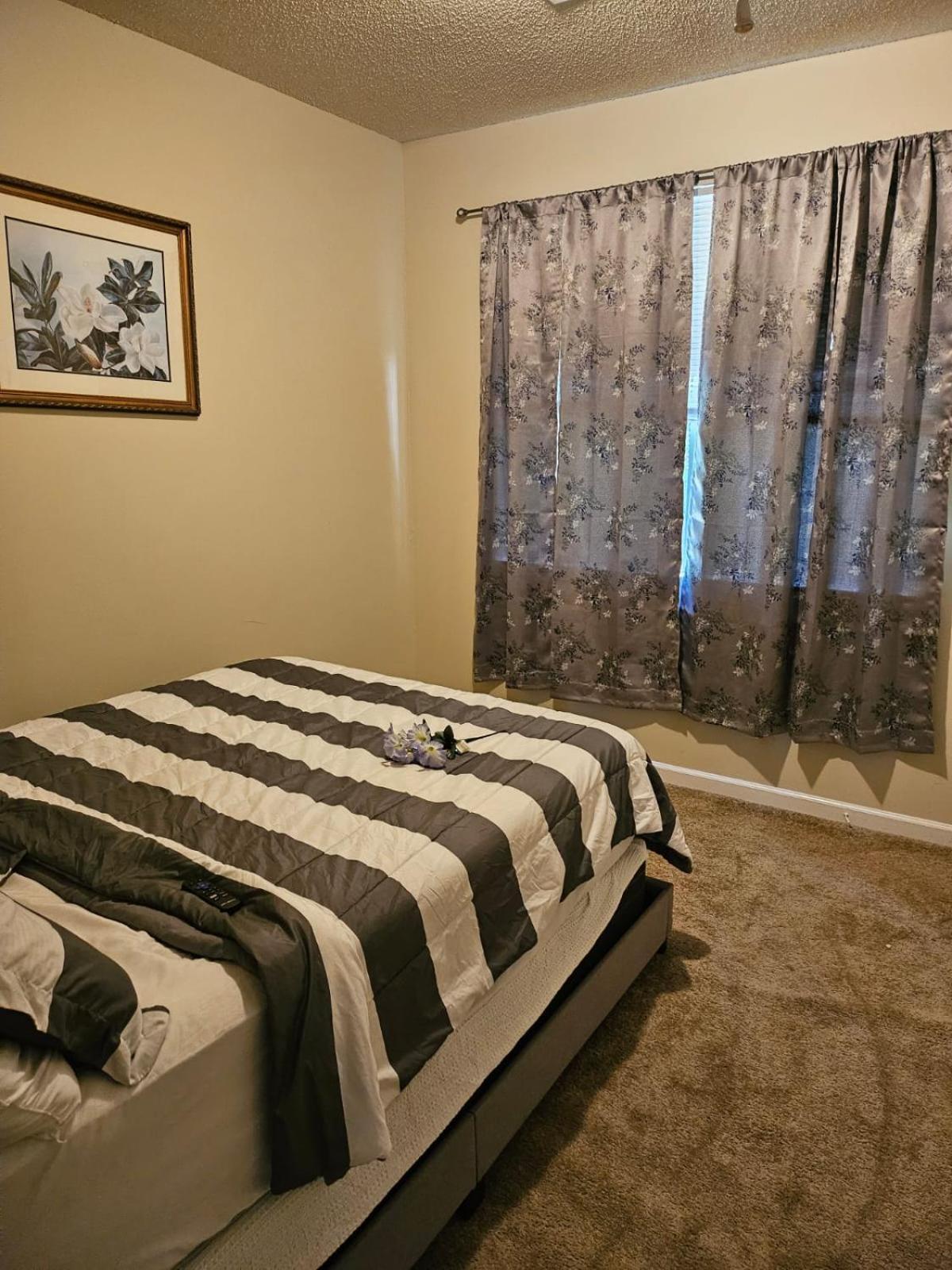 2 Luxury Bedrooms, 1 Bath, Shared Kitchen And Shared Living Areas