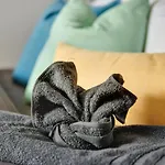 Cool And Comfy Apartment In Mechanicsville