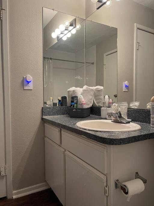 Elegant Classy 2 Bedroom Suite Apartment Atlanta