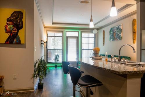 The Safari Apartment