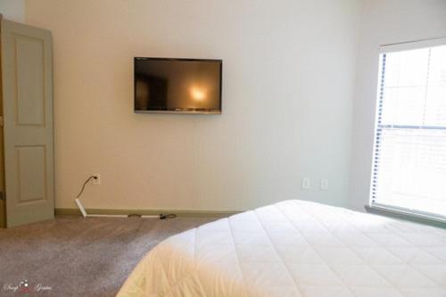 The Safari Apartment Atlanta