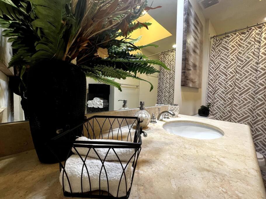 Luxurious Apartment