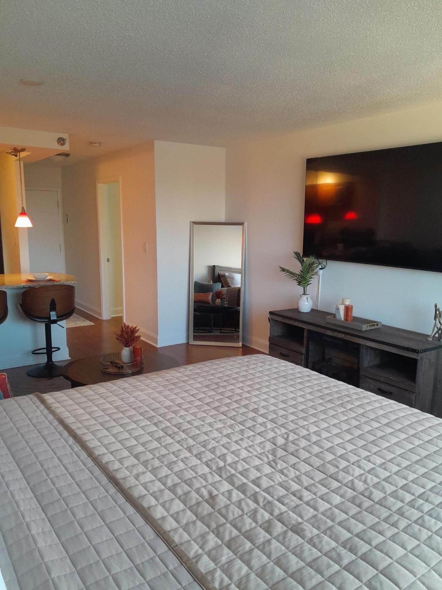 Luxury Fully Furnished Studio Apartment Atlanta