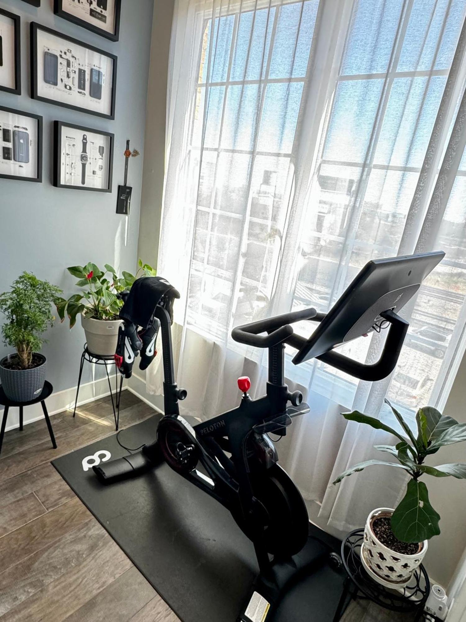 2 Bedroom Urban Oasis In Castleberry Hill Apartment