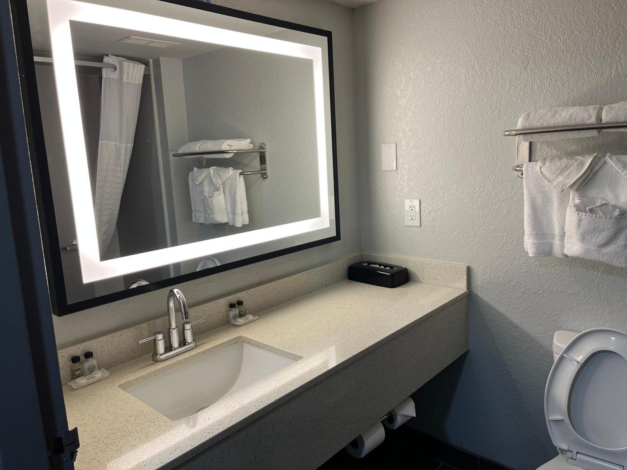 Hotel Four Points By Sheraton College Park Atlanta Airport 3*